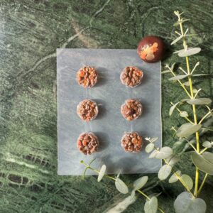 Microdosing Refill – navulling voor microdosing box met truffels en cacao van Wise Rootz
