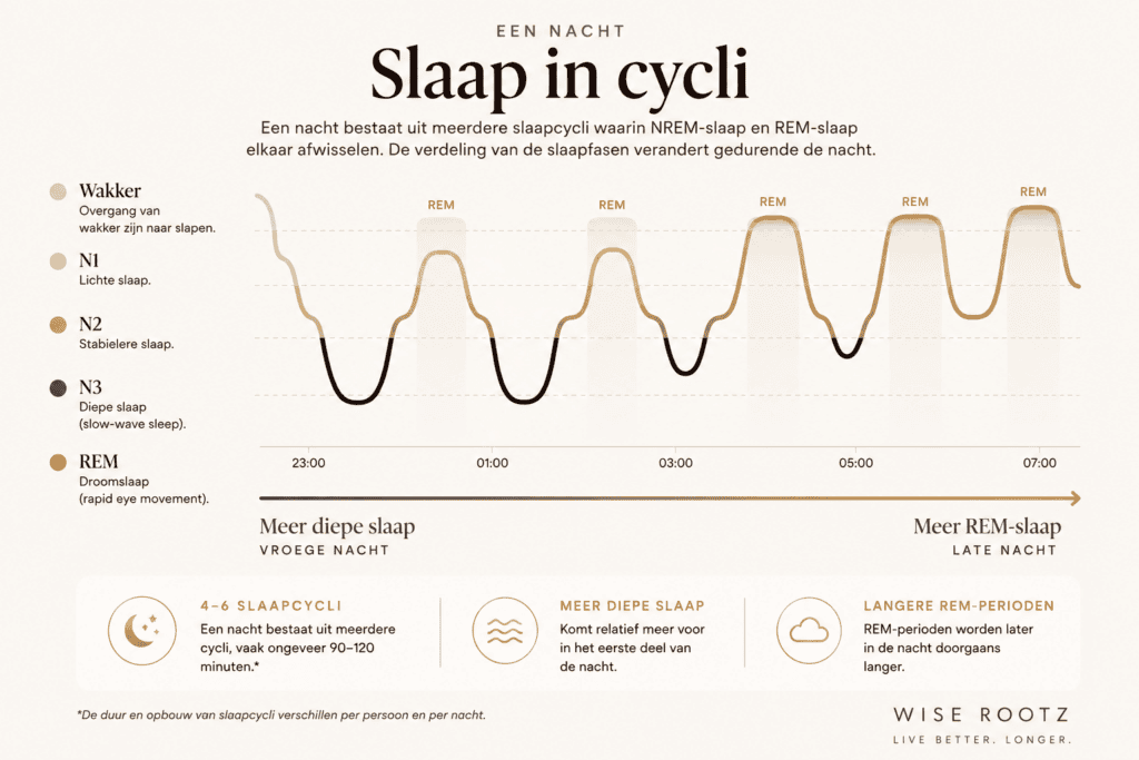 Slaapcyclus met NREM, diepe slaap en REM-slaap